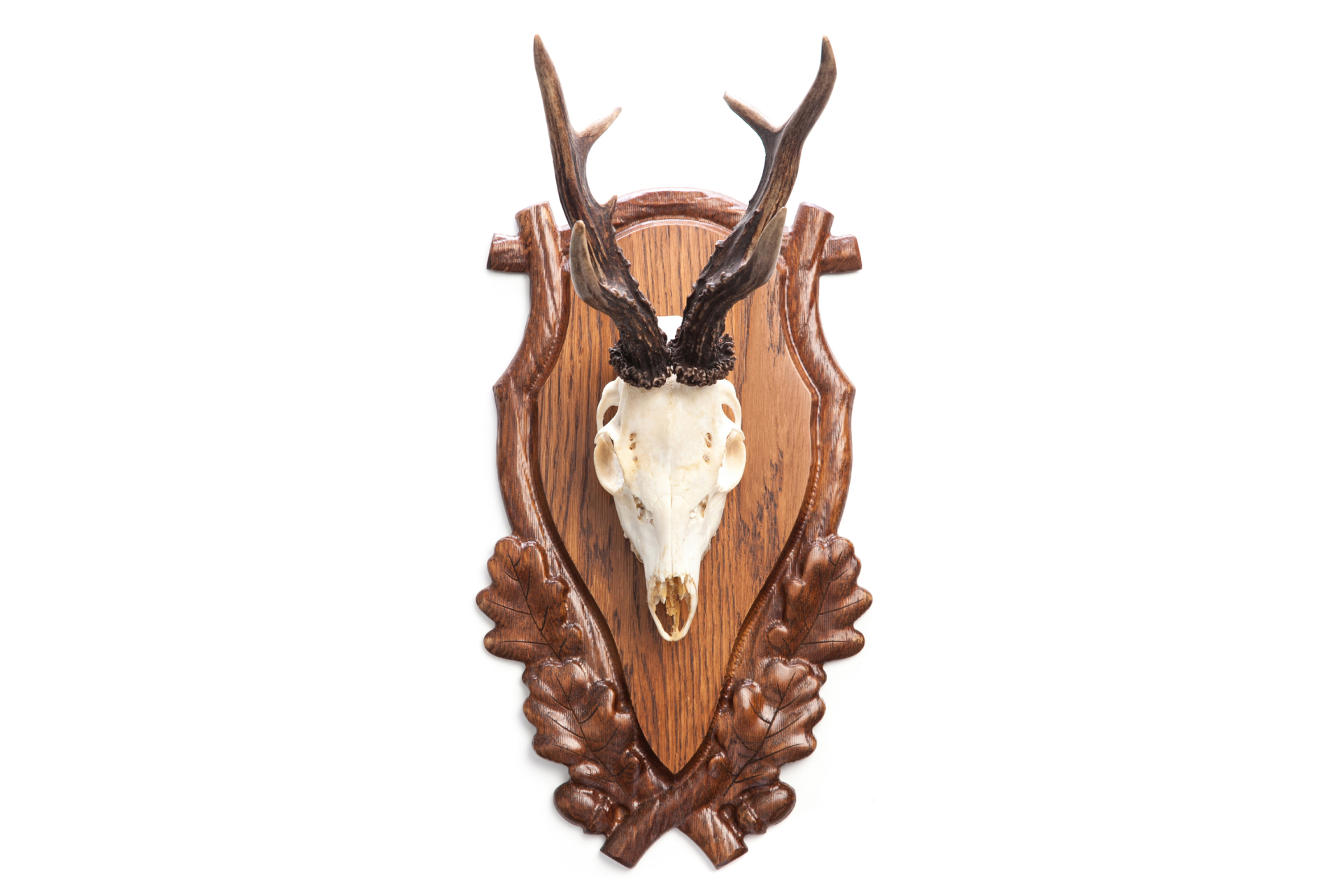 Mounting plaque Deer II carved