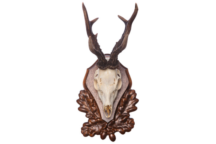 Mounting plaque Buck antler carved